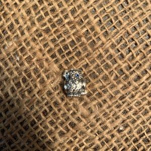 Pandora charm